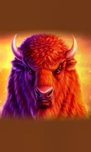 Buffalo 50
